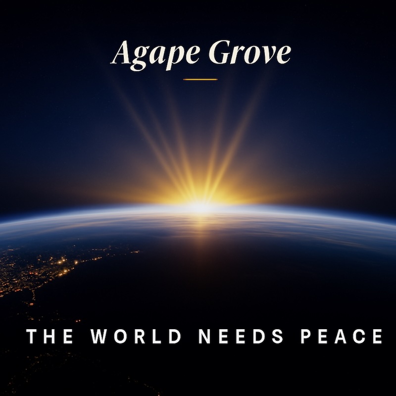The World Needs Peace